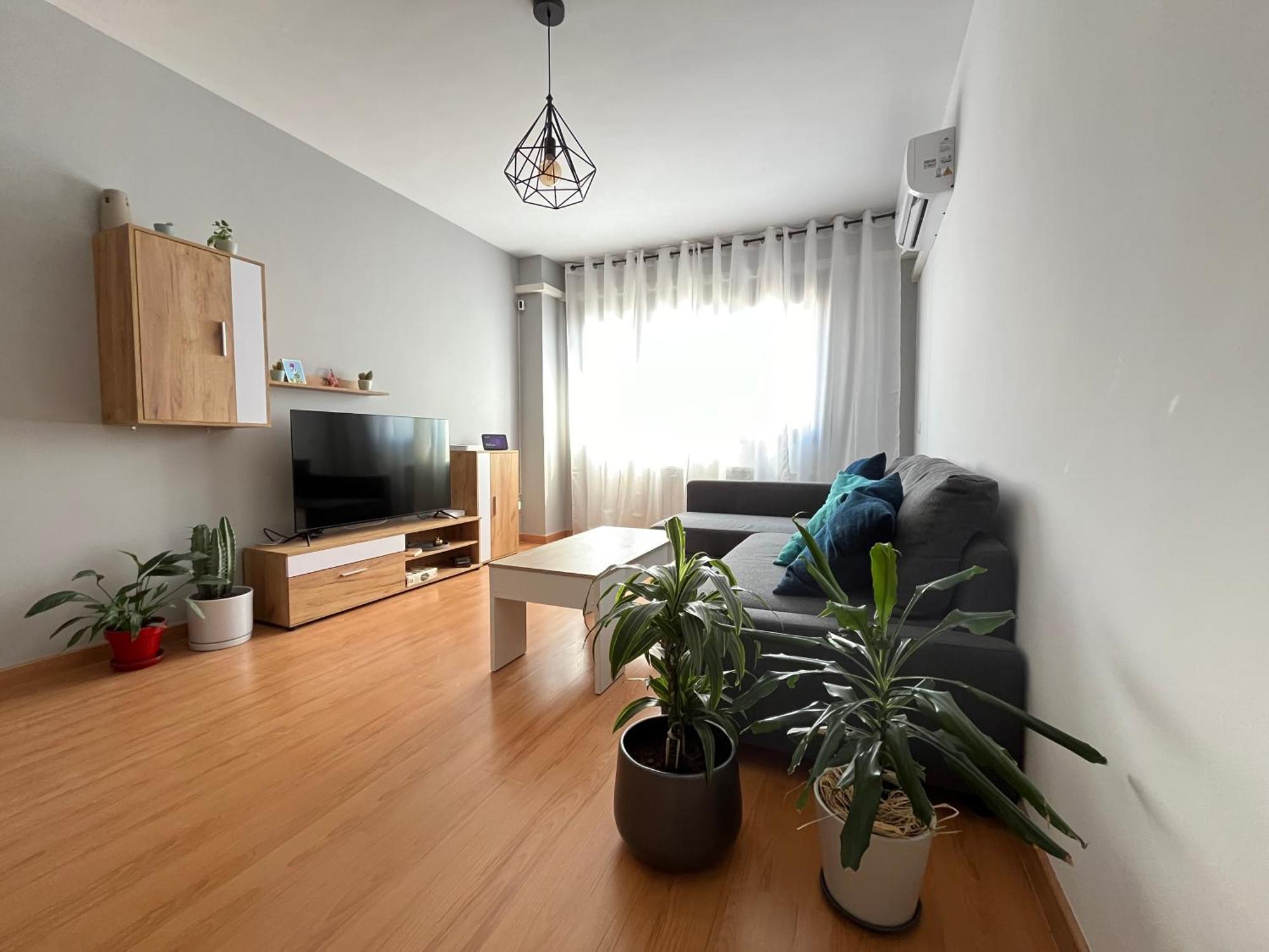 Anade Real Apartment Daimiel